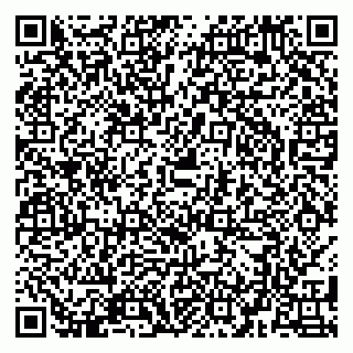 vCard 79580137089