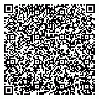 vCard 79580137090