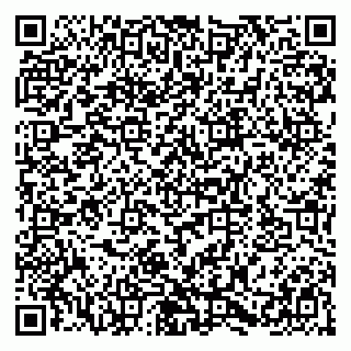 vCard 79580137099