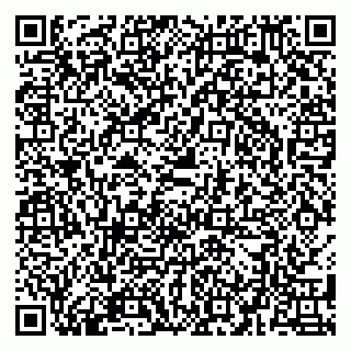 vCard 79580137100