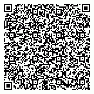 vCard 79580137102