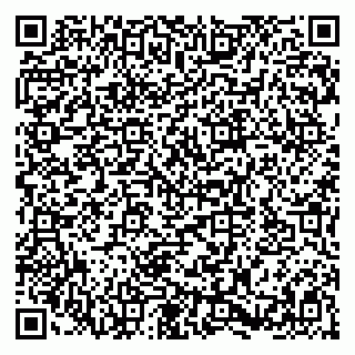 vCard 79580137110