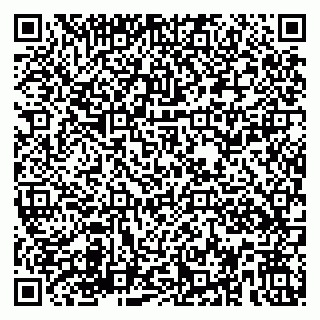 vCard 79580137137