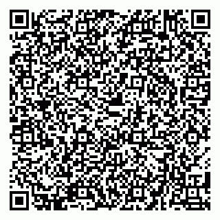 vCard 79580137153