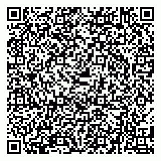 vCard 79580137173
