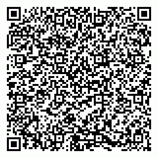 vCard 79580137201