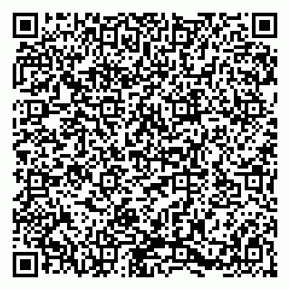 vCard 79580137203