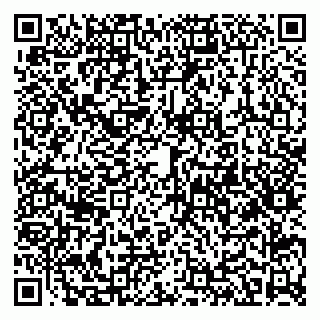 vCard 79580137205