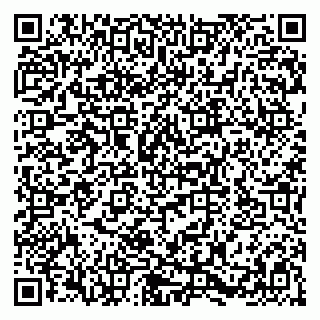 vCard 79580137210
