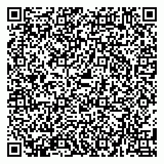 vCard 79580137217