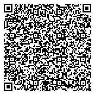 vCard 79580137221