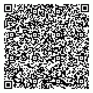 vCard 79580137251