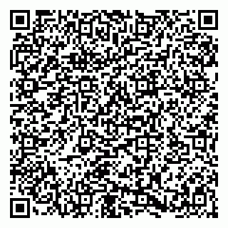 vCard 79580137281