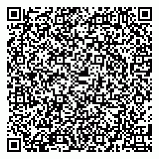 vCard 79580137285