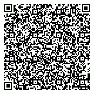 vCard 79580137297