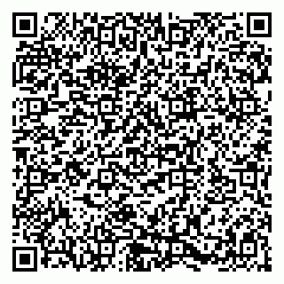 vCard 79580137300