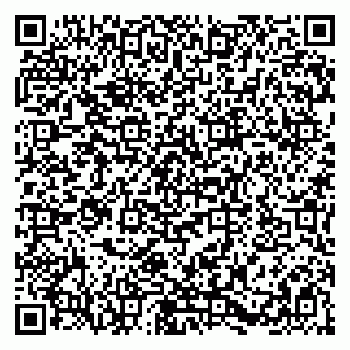 vCard 79580137311