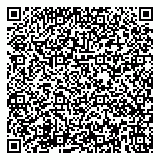 vCard 79580137313