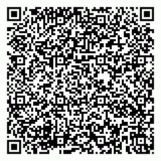 vCard 79580137331