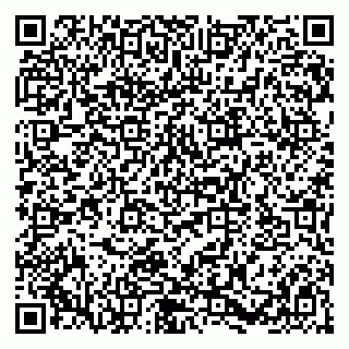 vCard 79580137333