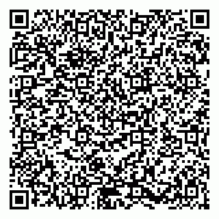 vCard 79580137335