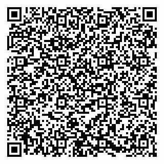 vCard 79580137369