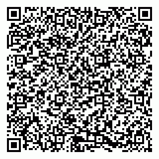 vCard 79580137378