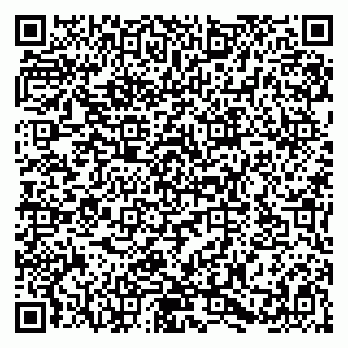 vCard 79580137380