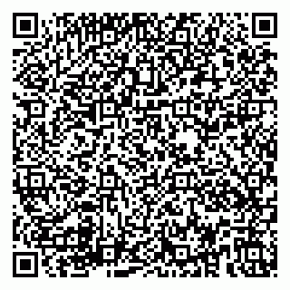 vCard 79580137381