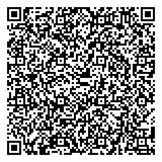 vCard 79580137410