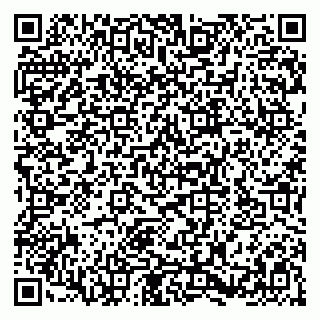 vCard 79580137411
