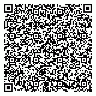 vCard 79580137618