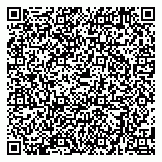 vCard 79580137619