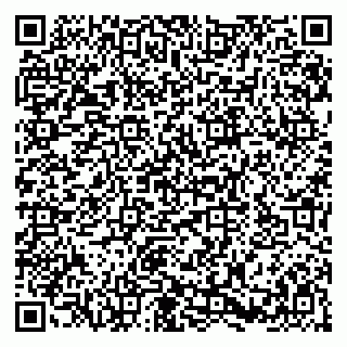 vCard 79580137625