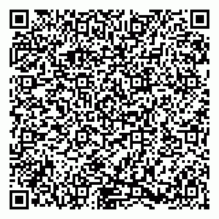 vCard 79580137627