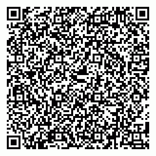 vCard 79580137629