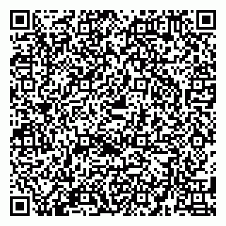 vCard 79580137690