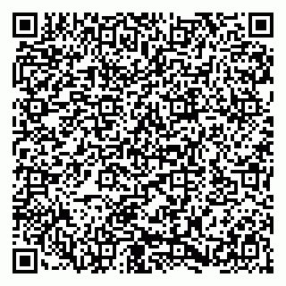 vCard 79580137699