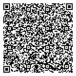 vCard 79580137713