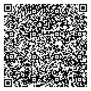 vCard 79580137714