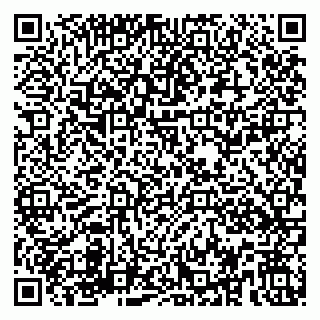 vCard 79580137727