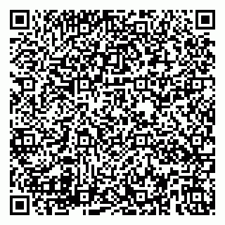 vCard 79580137731
