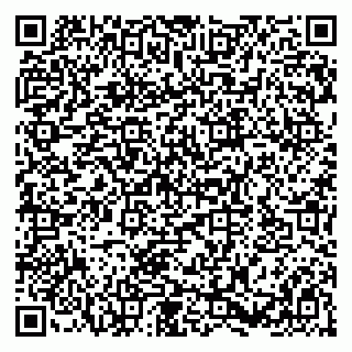 vCard 79580137733