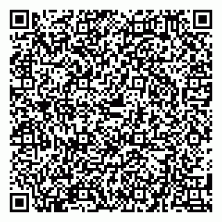 vCard 79580137740