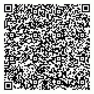 vCard 79580137811