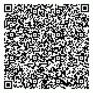 vCard 79580137821