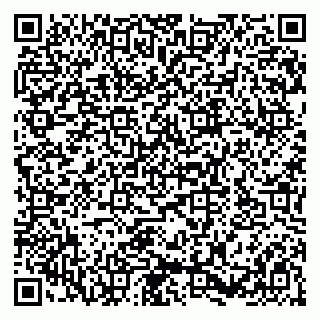 vCard 79580137833