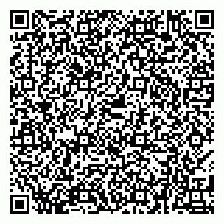 vCard 79580137873