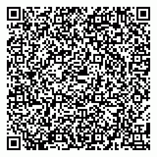 vCard 79580137981