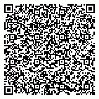 vCard 79580138402